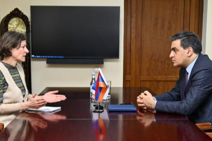 Մարդու իրավունքների պաշտպան Արման Թաթոյանն ընդունել է Երևանում Եվրոպայի խորհրդի գրասենյակի ղեկավար Մարտինա Շմիդտին