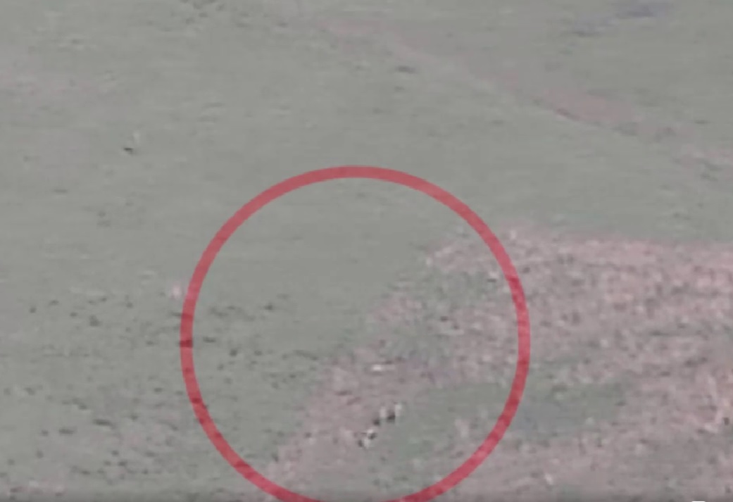 Ադրբեջանի զինծառայողի կողմից Ճարտարի բնակչի սպանությունը փաստող տեսանյութ է հրապարակվել (տեսանյութ)