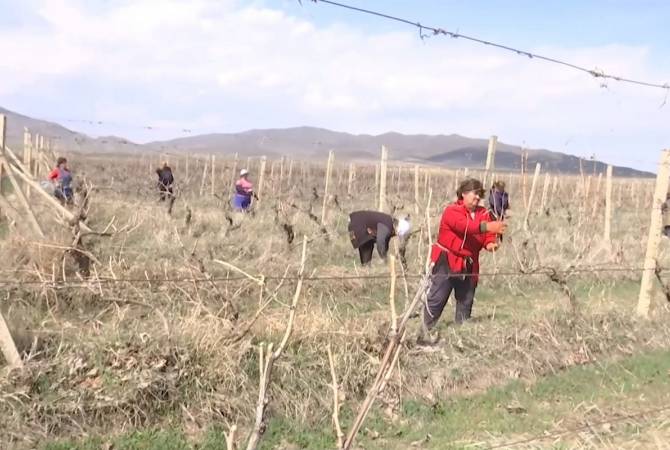 При содействии российских миротворцев началось проведение сельскохозяйственных работ в Нагорном Карабахе