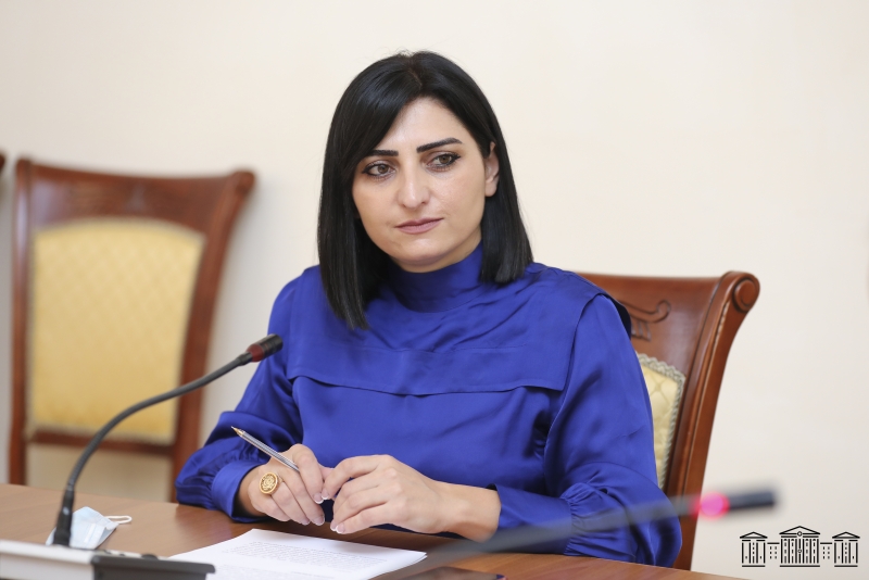 ԱԺ մարդու իրավունքների պաշտպանության եւ հանրային հարցերի մշտական հանձնաժողովում քննարկվեցին Հայաստան-Սփյուռք համագործակցությանն առնչվող հարցեր