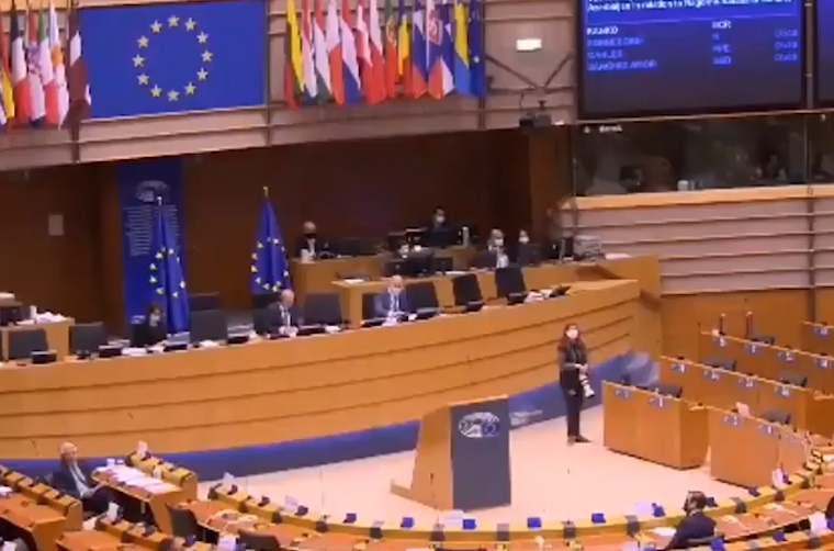Մարտին Սոննենբորն, Եվրոպական խորհրդարանի անկուսակցական պատգամավոր (Գերմանիա): «Ես ճանաչում եմ Արցախի Հանրապետությունը». ՏԵՍԱՆՅՈՒԹ
