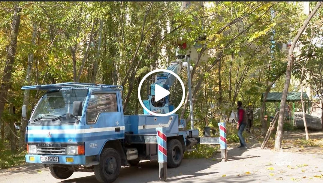 Երևանում մեկնարկել է ծառերի աշնանային էտը. Էտվում են նաև ճանապարհային երթևեկության նշաններին խանգարող ճյուղերը
