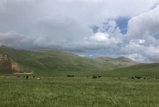 Азербайджанские военнослужащие украли у несовершеннолетнего пастуха 3 головы крупного рогатого скота в селе Хнацах, а в селе Тех воспрепятствовали сбору пшеницы: омбудсмен