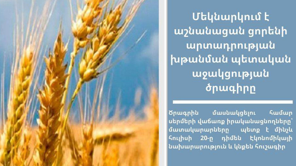 Մեկնարկում է աշնանացան ցորենի արտադրության խթանման աջակցության ծրագիրը