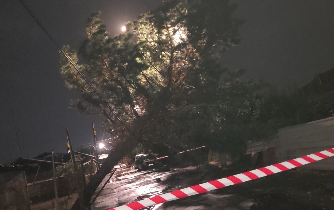 Երևանում ուժեղ քամին կոտրել է ծառեր ու պոկել տանիքներ, hորդառատ անձրևի պատճառով հեղեղվել էր մետրոպոլիտենի «Շենգավիթ» կայարանի նախամուտքը