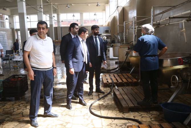Вице-премьер Сурен Папикян ознакомился с процессом закупки винограда в Армавире