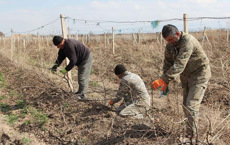 Ադրբեջանցիները զենքի սպառնալիքով խաղողի այգիներից դուրս են հանել Խրամորթի բնակիչներին. համայնքի ղեկավար