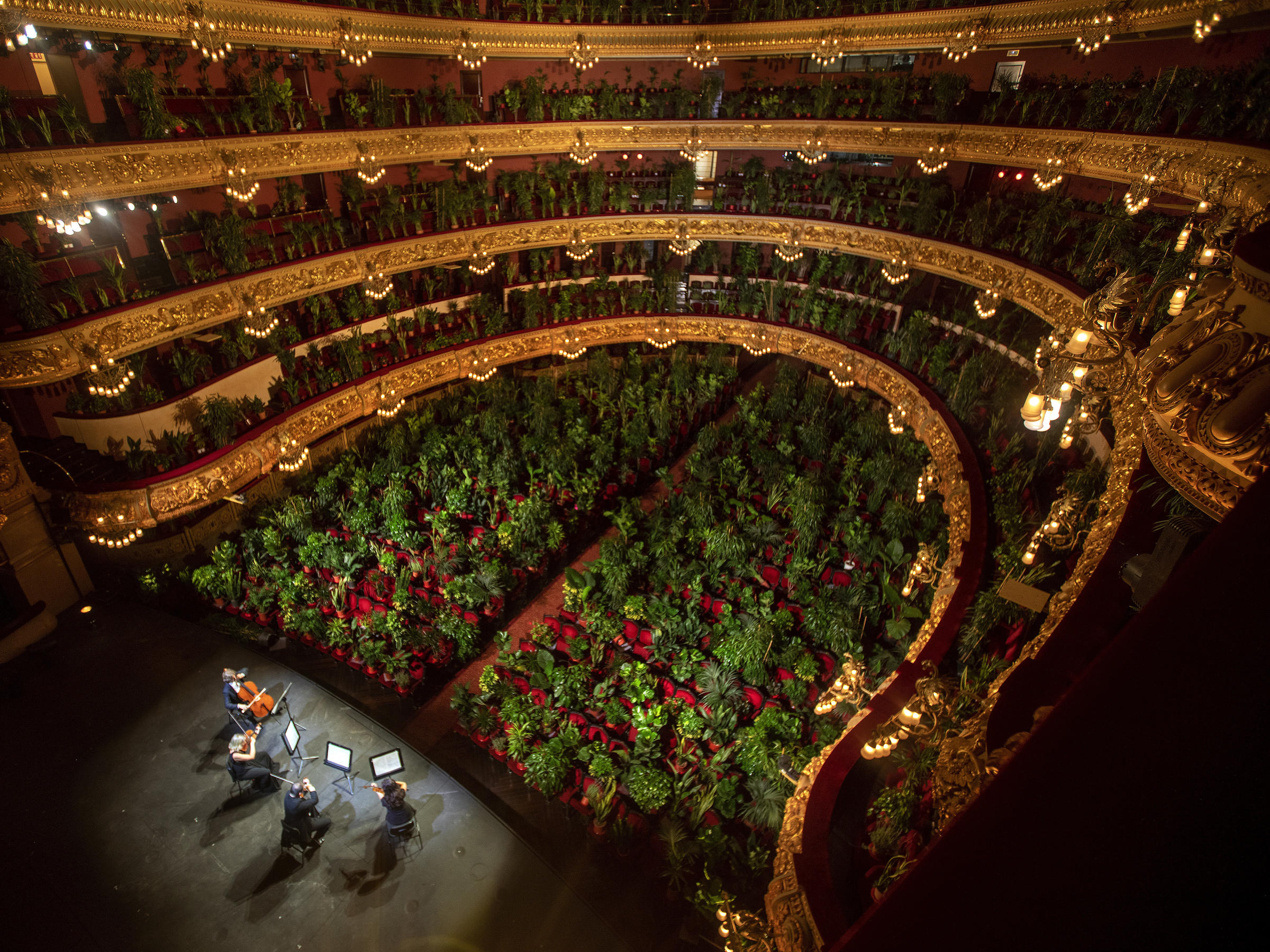 Դասական համերգ 2292 բույսերի համար Բարսելոնայի «Liceu» օպերային թատրոնում